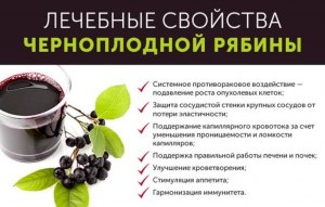 Какими качествами обладает вино из черноплодной рябины?