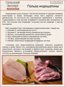 Какое мясо более диетическое: кролик или индейка?