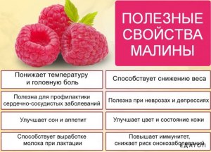 Как определить что малина не испортилась?