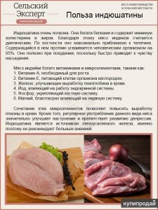 Можно ли назвать индейку самым полезным белым мясом? Почему?