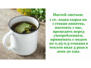 Заваривать чай лучше из сухих или свежих листьев смородины?