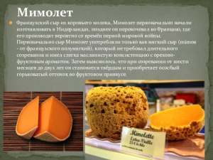 К каким сырам относят сыр мимолет?