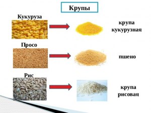 Как перебрать крупу от камней, пшенку, рис?