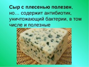 Можно ли натощак кушать сыр с плесенью?