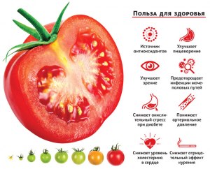 Сейчас существуют помидоры самых разных цветов, так какие из них полезнее?