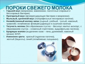 Почему горчит Самокатовское питьевое молоко?