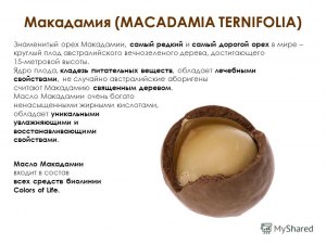 Почему орех макамадия считается самым дорогим орехом в мире, если....?