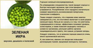Чайный гриб, откуда появился в России?