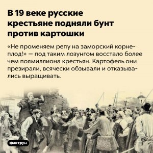Какие известны бунты против картофеля в Российской Империи?