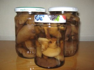 Как правильно солить грибы козлята?