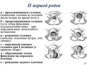 Можно ли в начальном процессе родов есть самсу. Почему?