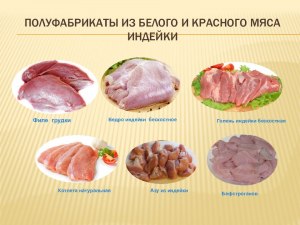 Какое куриное мясо относится к белому?