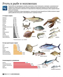 Какие виды рыб опасны для пищи из-за высокого содержания ртути?