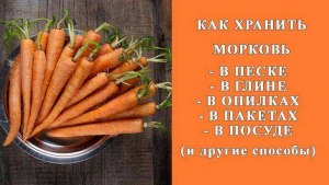 Зимнее хранение моркови, какие способы?