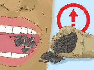 Как щелкать жареные семечки если совсем нет зубов?