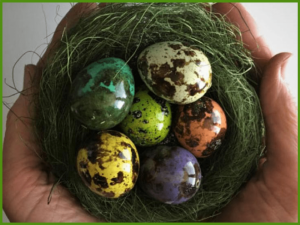 Чем покрасить перепелиные яйца на Пасху?