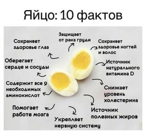 Нормально ли мужчине, каждый день, на завтрак съедать яичницу из двух яиц?