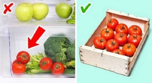 Правда ли, что помидоры нельзя хранить в холодильнике (см.)?