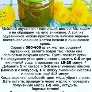 Как приготовить рагу из одуванчиков? Какой рецепт?