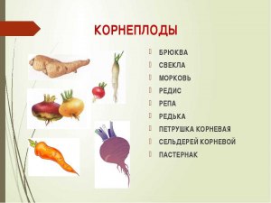 Какие овощи, корнеплоды, фрукты нужны для приготовления плова с рыбой?