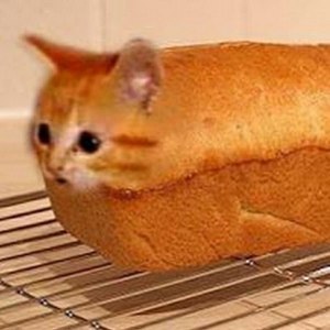Что производители могут добавлять в хлеб, который очень нравится коту?