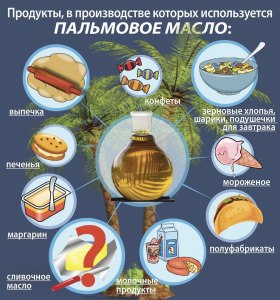 Можно ли потолстеть от пальмового масла в составе продуктов?