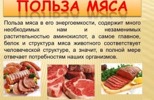 Мясо каких грызунов кроме бобров можно использовать в пищу?