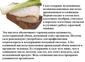 Почему сало стало так популярно, откуда пошла традиция есть сало?