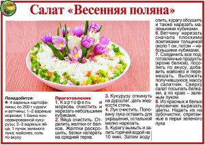 Какие бюджетные полезные салаты можно делать в первый месяц весны?