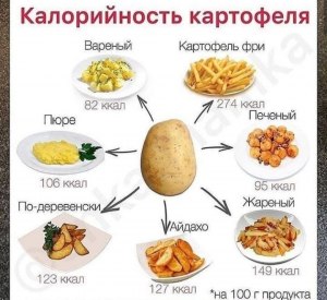 Сколько составляет калорий жареная картошка на 100г продукта?