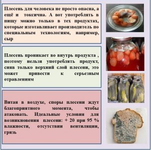 Почему не рекомендуется употреблять плесень от продуктов питания?