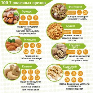 Сколько грецких орехов можно съесть и так ли они полезны?