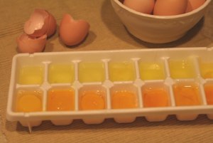 Можно ли замораживать яичные желтки?