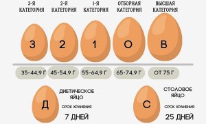 Яйца категории с0 и с1 и с2, какие покупать выгоднее?