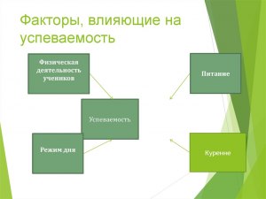 Как влияет питание на успеваемость и успешность ребенка? Почему?