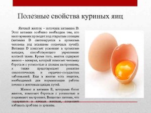 Почему пожилым и старикам надо обязательно регулярно есть куриные яйца?