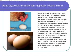 Если яйца будут единственным источником белка что будет?