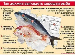 Какой вкус у рыбы нигрита?Рекомендуете эту рыбу?Как лучше её готовить?