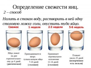 Как проверить яйцо на годность?