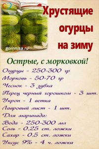 Какой самый простой рецепт засолки огурцов без закатывания?