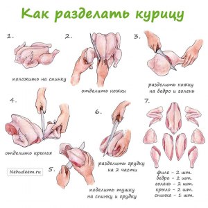 Куда девать куриные и мясные обрезки?