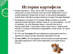 Как картошка оказалась в Белоруссии (история)?