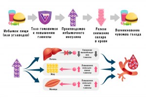 Что происходит в организме при снижении содержания глюкозы в крови?