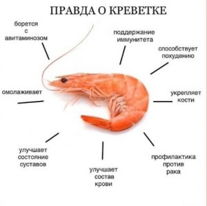 Какие креветки можно есть сырыми?Перечислите?Безопасно?Чем сбрызнуть?