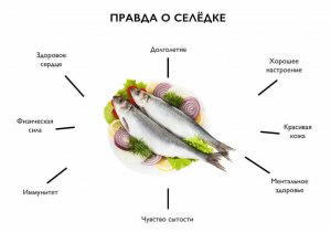 В каком виде лучше есть сельдь?