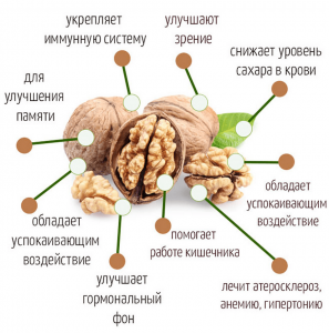 Правда ли , что грецкие орехи помогают похудеть? Каким образом?