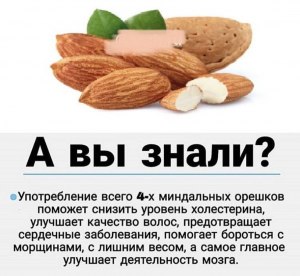 Какие орехи полезнее: миндаль или фундук? Почему?