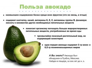 Сколько можно съесть авокадо в день без вреда для здоровья?