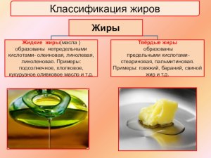 Чем сливочное масло лучше (хуже) смальца? Других жиров?