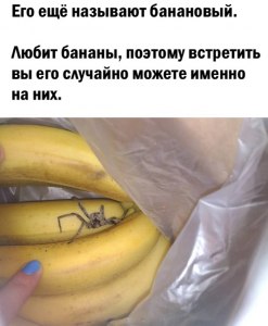 Вы иногда покупаете полугнилые бананы по дешёвке?
